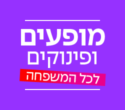 חורף של מופעים 2024